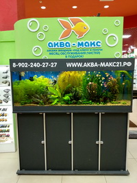 Экспонирование Внутри